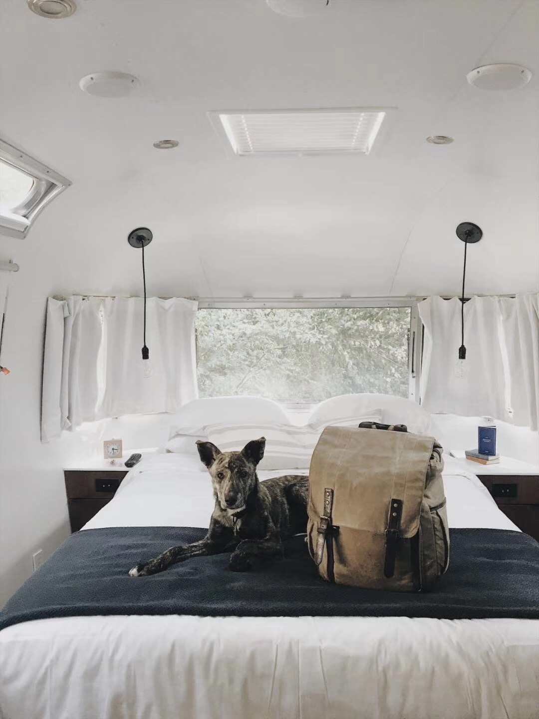 AutoCamp Yosemite(图4)