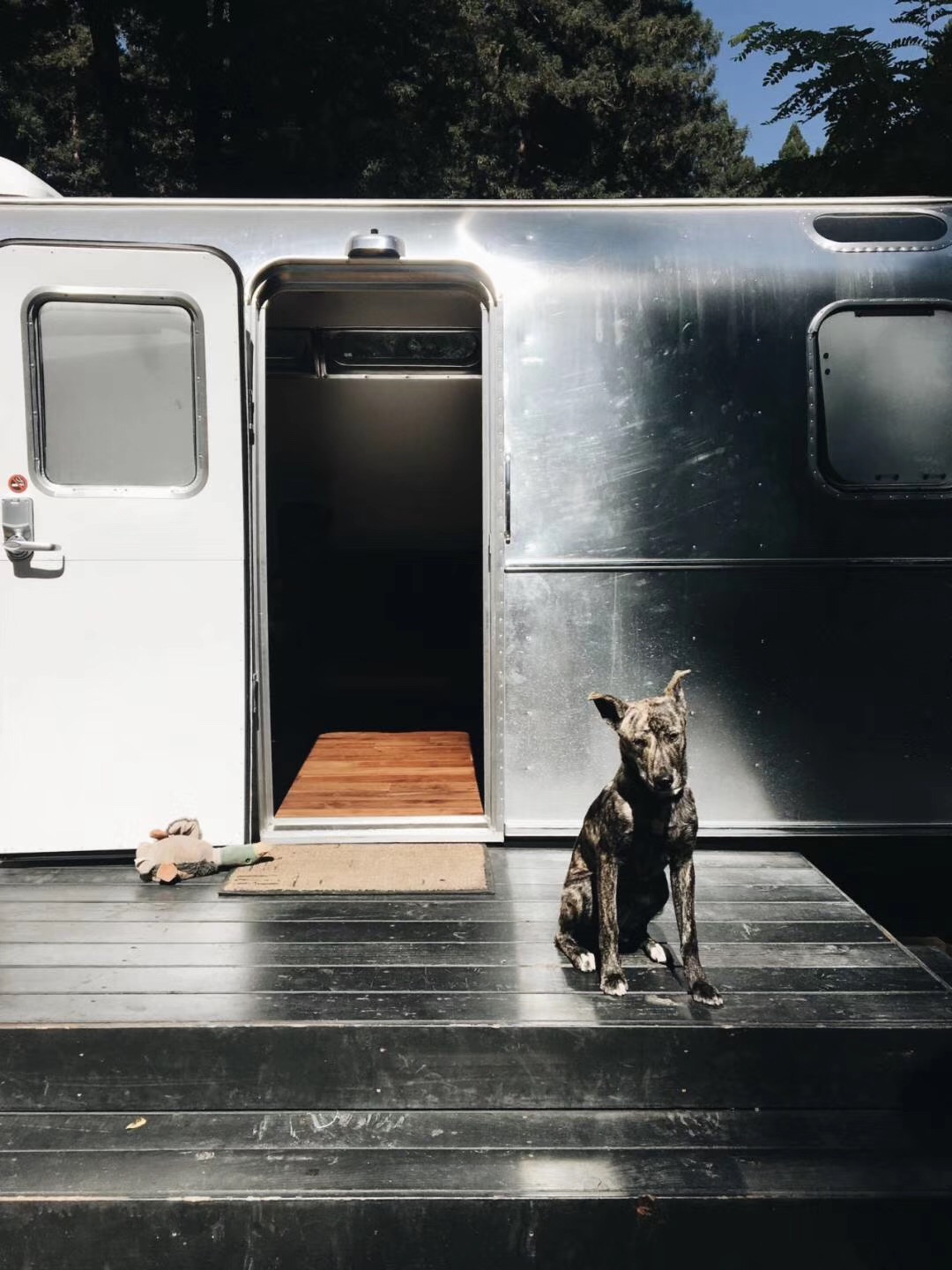 AutoCamp Yosemite(图5)
